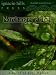 Search : Northanger Abbey