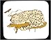 Decorated Mouse Pad with jungle, cat, animal, leopard
