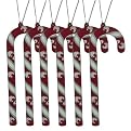 Washington State Candy Cane Ornament Set