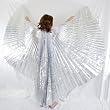 Silver Wings of Isis II