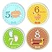 Baby Monthly Stickers by Baby Epic | Best Milestones for Newborn Boy & Girl | Unique Baby Shower Gifts