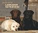 Labrador Retrievers, For the Love of 2009 Deluxe Wall Calendar