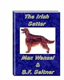 The Irish Setter
