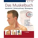 Funktionelle Darstellung der Muskeln des Bewegungsapparates