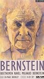 Produkt-Bild: Leonard Bernstein-Buchformat