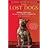 The Lost Dogs: Michael Vick's Dogs and Their Tale of Rescue and Redemption