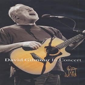 David Gilmour-In Concert [VHS]