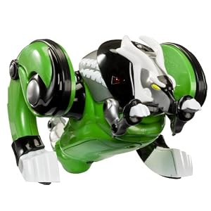 Best Christmas Toys for 10 Year Old Boys