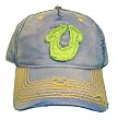 True Religion Jeans Horseshoe Logo Unisex Hat Cap