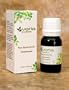 Cedarwood Essential Oil