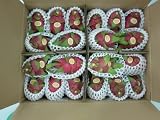 �٥ȥʥ໺���ɥ饴��ե롼�ġ��ӣӥ�������20�̡�5���