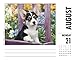 Just Corgis 2017 Box Calendar (Dog Breed Calendars)