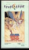 He-Man and She-Ra - The Secret of the Sword [VHS]