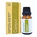 Simply Earth Cajeput Essential Oil, 100% Pure Therapeutic Grade - 15 ml