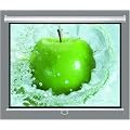 Motor Leinwand mit Funkfernbedingung 244 x 182 cm f�r Beamer
