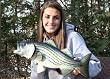 Taxidermy Quality 21" Fiberglas Striped Bass Wall Mount