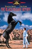 The Black Stallion Returns