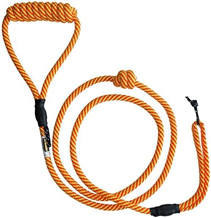 H4Legs 1 Count Dog Leash, 5-Feet Long, Orange