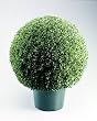 National Tree Company LBXM-700-20 20 Inch Mini Boxwood Ball Shaped Topiary Tree in Green Round Plastic Pot