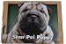 Photos of My Shar Pei Puppy Photo Album