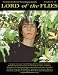Lord of the Flies Literature Guide (Secondary Solutions LLC Teacher Guide)