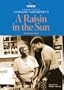 A Reader's Guide to Lorraine Hansberry's a Raisin in the Sun (Multicultural Literature)