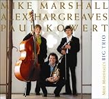 Mike Marshall`s Big Trio