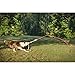 Outdoor Dog Toy - Tether Tug For Power Breeds or Extra Large Pets Over 60 Pounds - Blue and Yellow