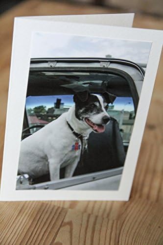 TJ Dog Photo Greeting Card
