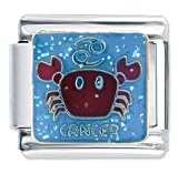 Animal Baby Cancer Italian Charms Bracelet Link