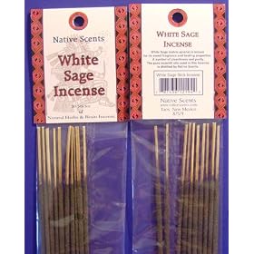 White Sage - Native Scents - 10 Sticks Natural Herb Incense