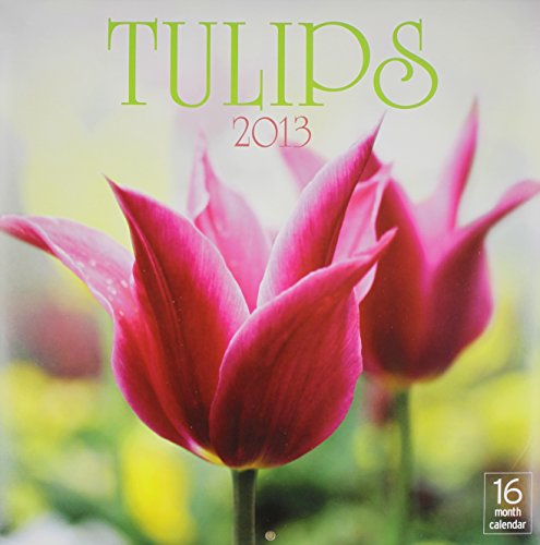 2013 Tulips