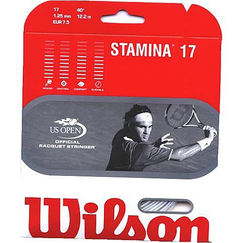 Wilson Stamina 17G Tennis String