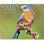 Garden Birds 2009 Calendar