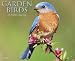 Garden Birds 2009 Calendar