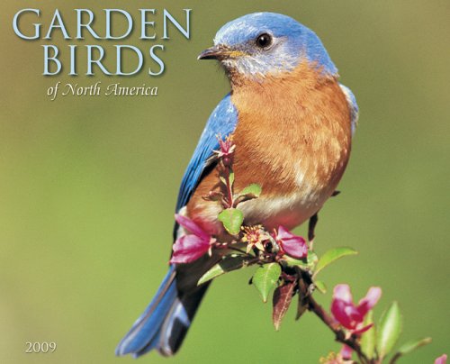 Garden Birds 2009 Calendar