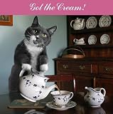 Mrs Moggs Cat Card - Got The Cream!
