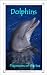 Dolphins: Playmates of the Sea (15-Minute books) by Caitlind Alexander