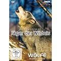 J�ger der Wildnis - W�lfe: Rivalen der Wildnis