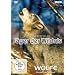 J�ger der Wildnis - W�lfe: Rivalen der Wildnis