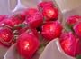 Pink Rose Battery Powered LED Fairy Light String