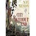 City Without End (Book 3 of The Entire and the Rose)