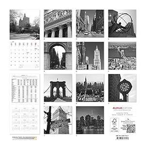 Alpha Edition 170134 Calendario 2017 da Muro