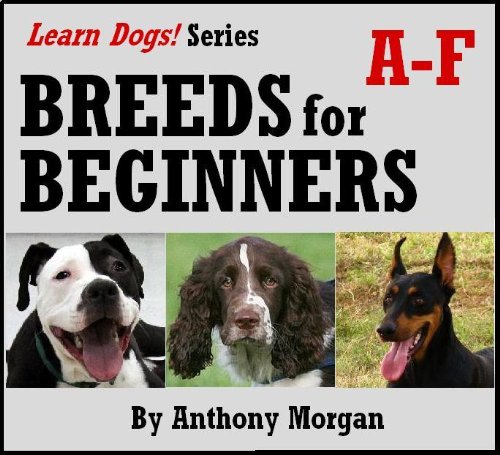 Breeds for Beginners: A-F (Learn Dogs!)