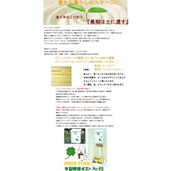 木製郵便ポストNo95 幸運を呼ぶ四葉のクローバー プランター付き