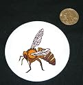 3" button / pin printed with insect, garden, bee