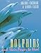 Dolphins and Their Power to Heal