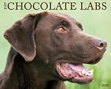 Just Chocolate Labs 2009 Calendar (Just)