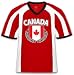 Canada Shield With Olive Branches Mens V-neck Sports T-shirt, Canadian National Pride Men's Sport Shirt