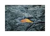 Geological Window poster print,20 in. x 14.7 in.